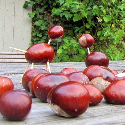 Spass auf dem Ferienhof Moos