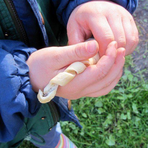 Spass auf dem Ferienhof Moos