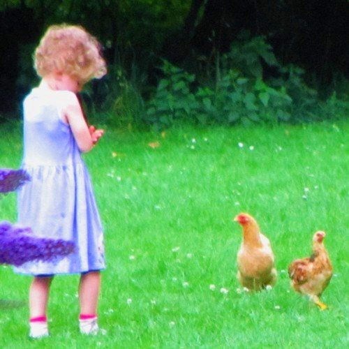 Spass auf dem Ferienhof Moos