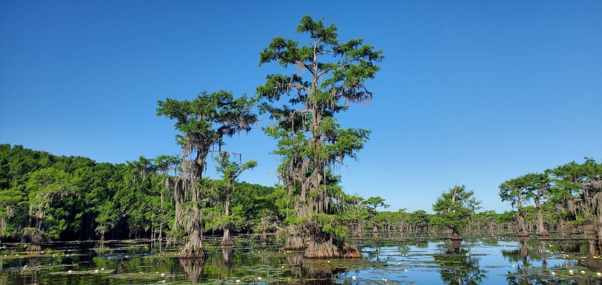 Caddo Lake Hideaway RESERVATIONS