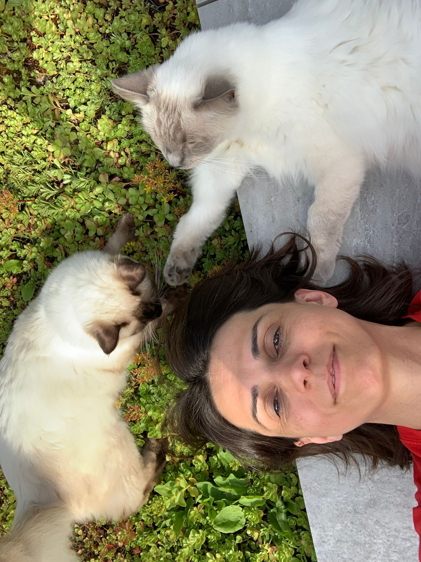 In unserer menschlichen Wohnung gibt es ein Wohn- und Schlafzimmer, Küche und Bad. Alles richtigen wir ein, so dass wir uns richtig wohlfühlen. Doch wie sieht es mit den Bedürfnissen der Katze aus? Auch sie benötigt ihre Räume und Einrichtungen, doch haben diese mit den unseren nichts zu tun. Es ist eben ein Katze. :-)      Ein Beispiel: Wir setzen uns zum Essen an den Tisch - gerne mit Begleitung. Doch ist es bei der Katze genauso? Ok, an den Tisch setzt sie sich (im Normalfall) schon mal nicht. Aber ob sie tierische oder menschliche Begleitung möchte, ist von Katze zu Katze unterschiedlich. Klar ist jedoch, dass ihr Essensplatz nicht in jedem x-beliebigen Platz deiner Wohnung sein sollte, sondern dort, wo es ihren Bedürfnissen gerecht wird.   Tja, und das mit der Toilette vertiefen wir dann gerne persönlich ;-)   Ich helfe dir gerne, deine individuelle räumliche Situation näher zu beleuchten und so katzengerecht auszustatten, wie für dich möglich.    Ein Stubentiger wohnt bereits bei dir und du möchtest, dass dein Tier sich so richtig bei dir wohl fühlt?  Eine Katze zieht neu bei dir ein und du möchtest wissen, was sie an 