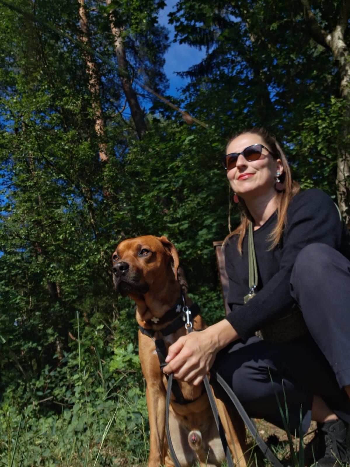 Eine Frau mit Sonnenbrille hockt neben einem braunen Hund auf einer sonnigen Waldlichtung.