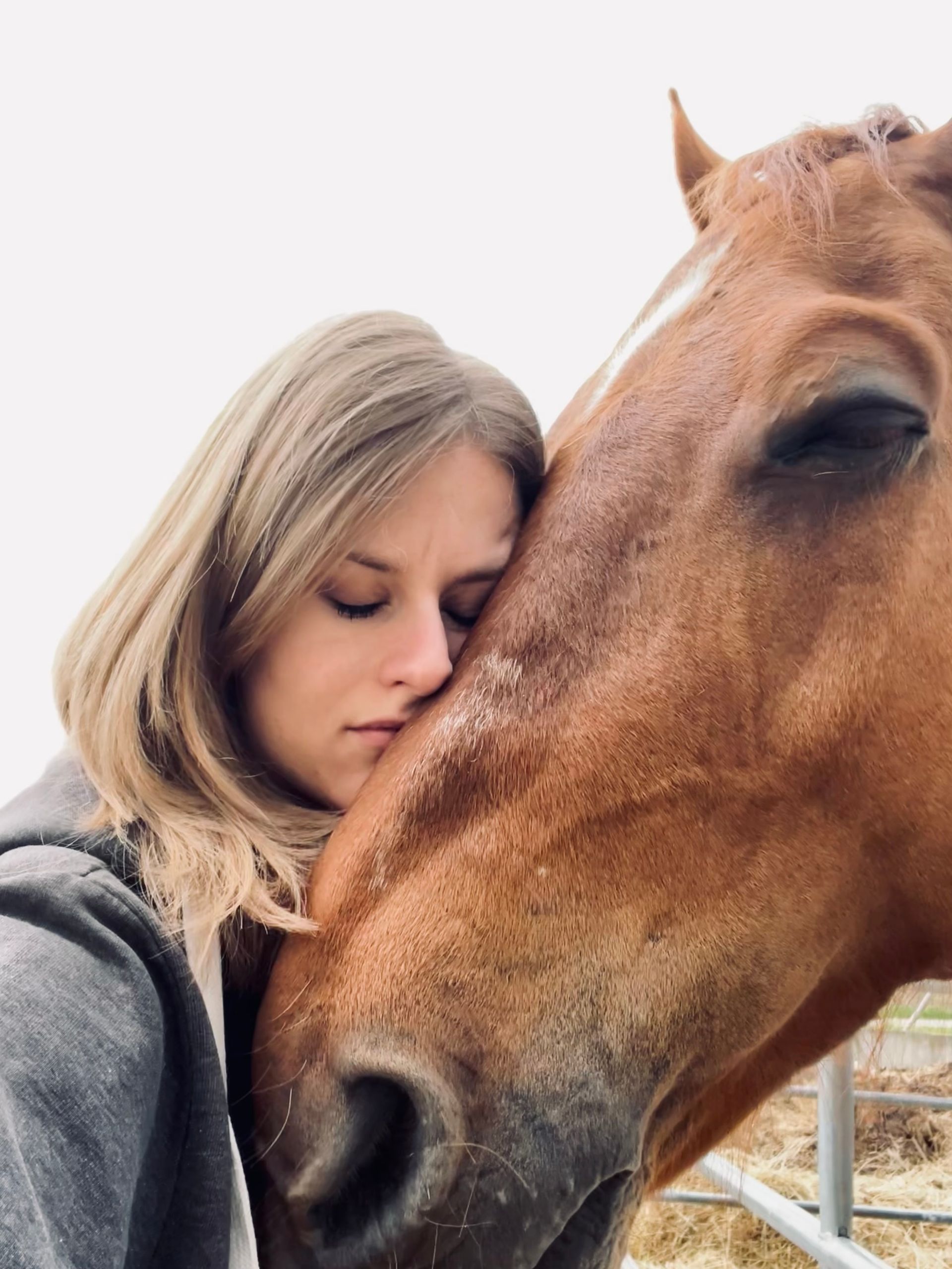 Tierphysiotherapeutin Lena Strobel aus Sigmaringen - ruhig und ursachenorientiert
