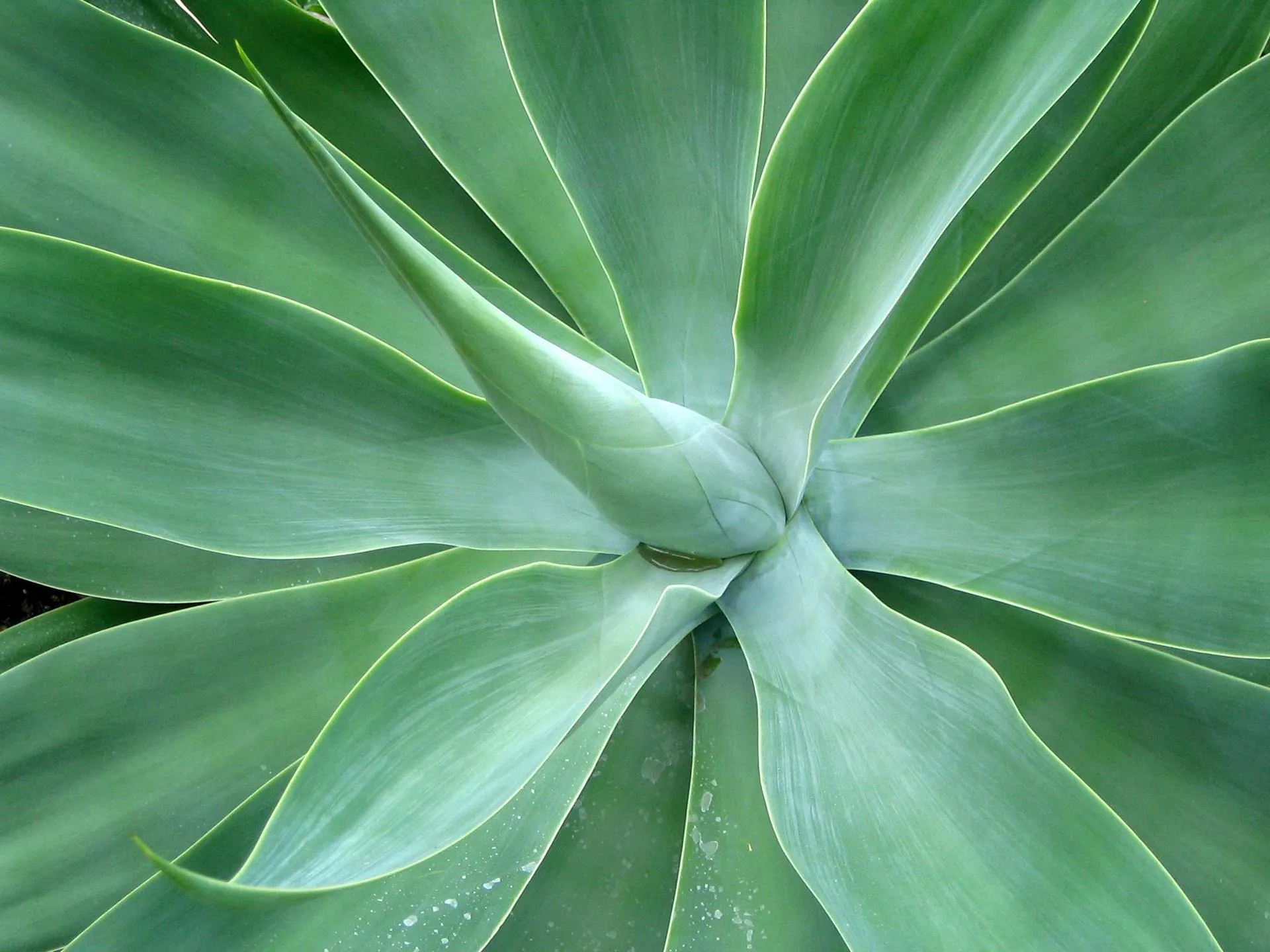 ABOGADOS DE CONFIANZA RECLAMAR INDEMNIZACIÓN CORUÑA-FERROL-SANTIAGO-GALICIA