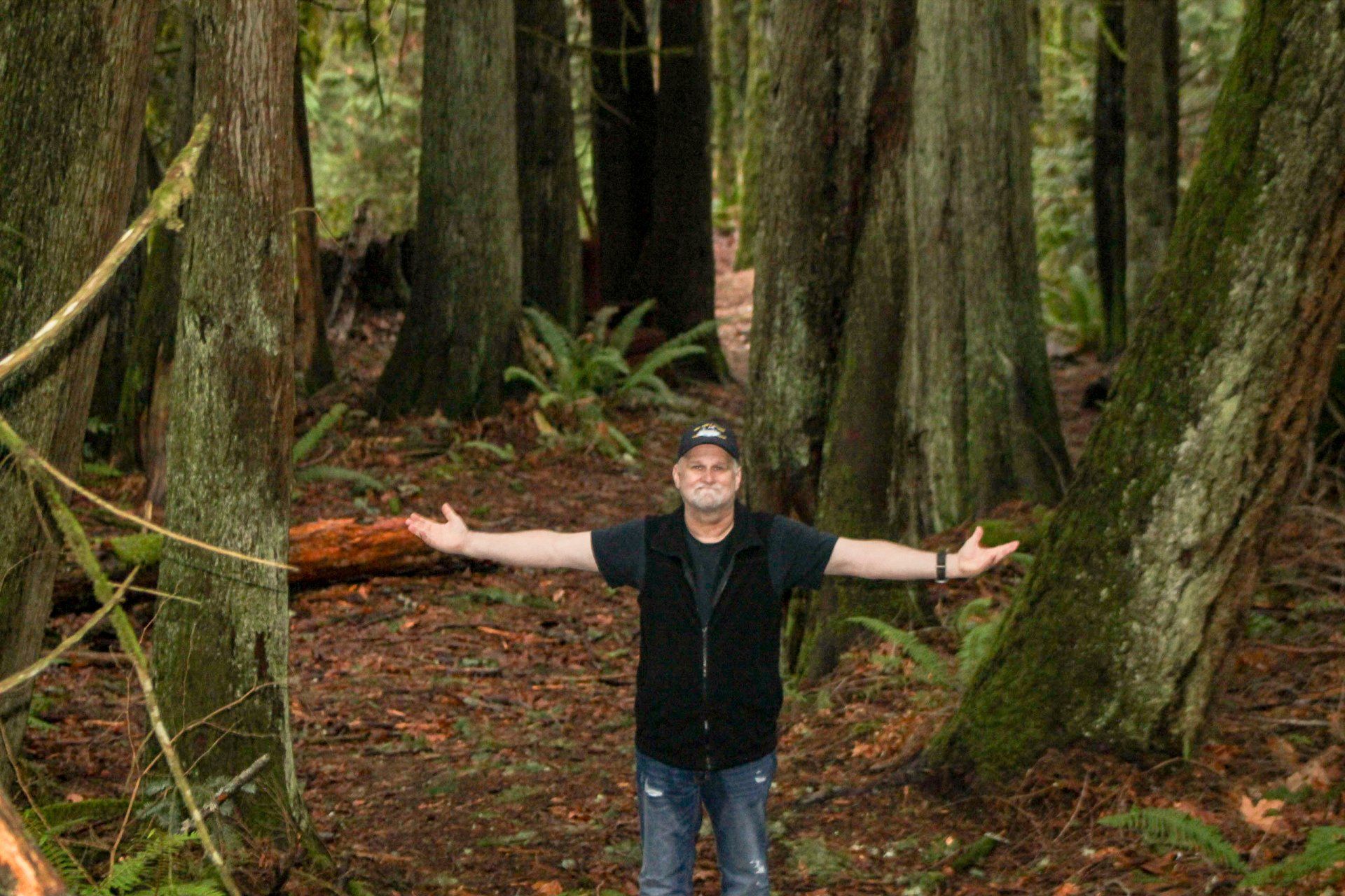 National Redwood Forest - California