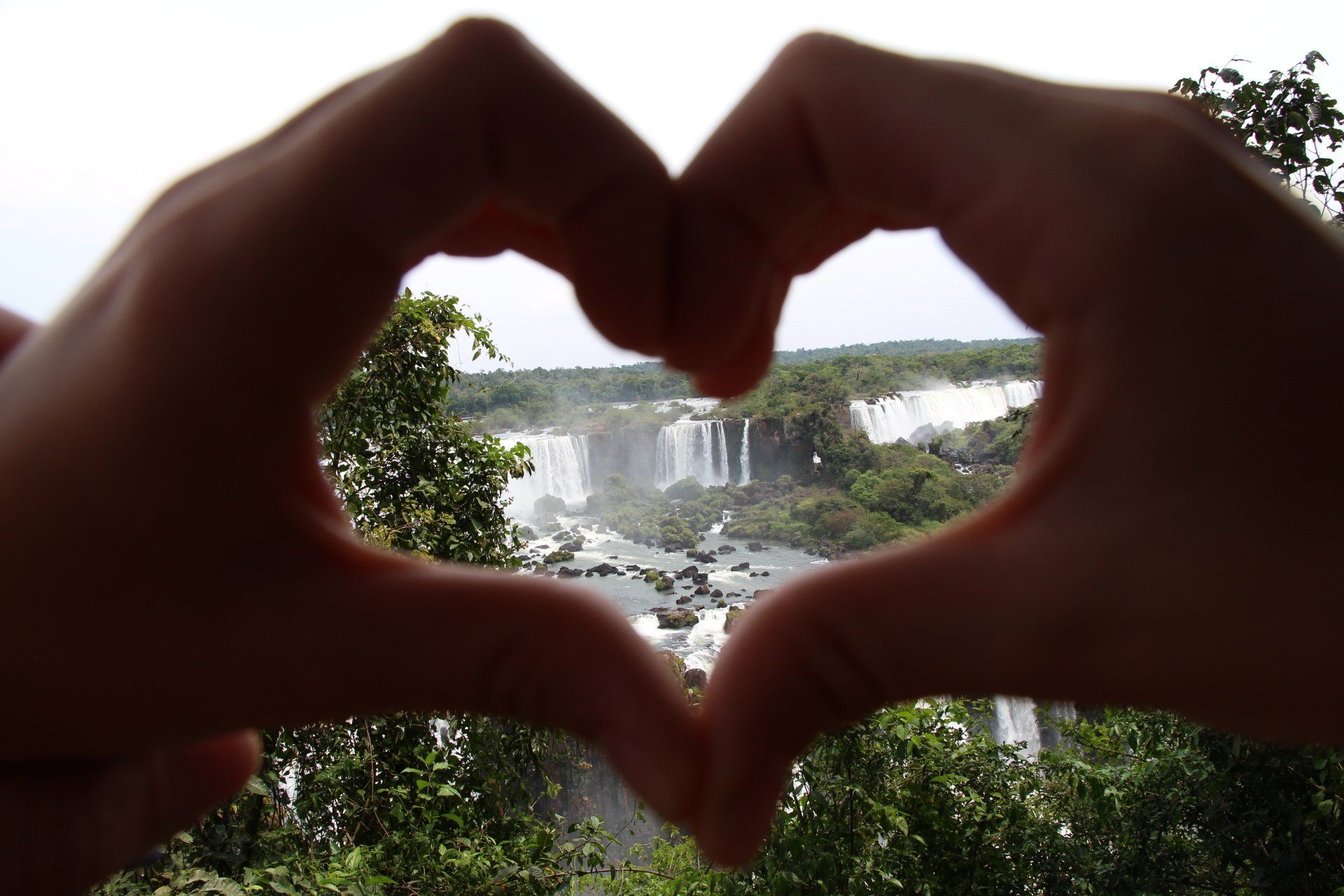 Herz Dunndarm System