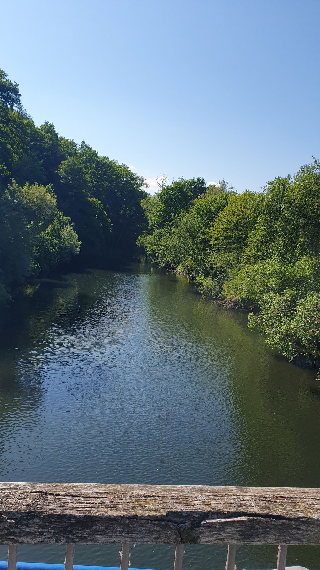 Am Neckar