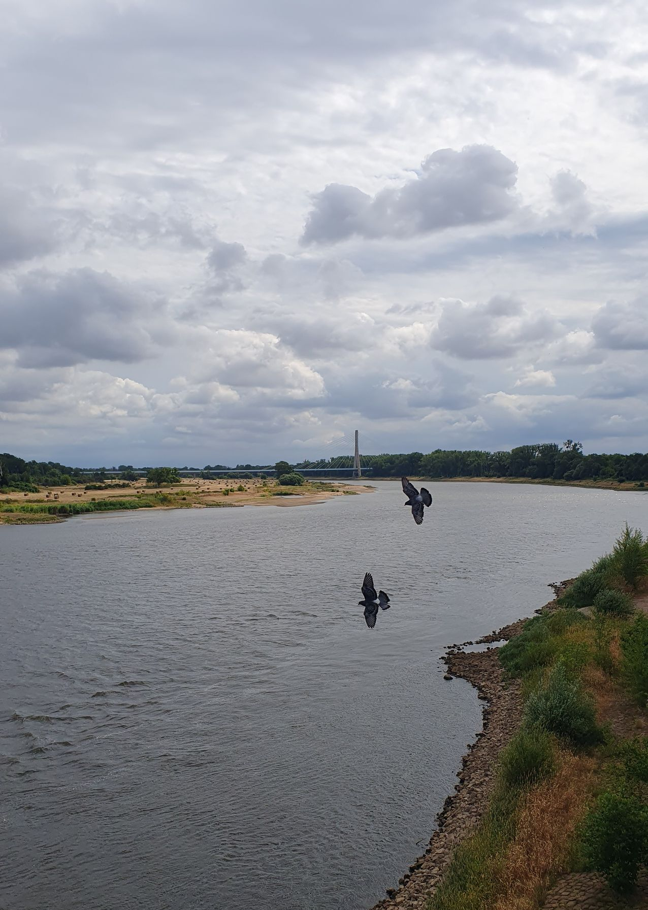 an der Elbe