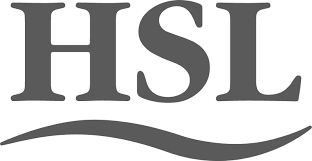 HSI logo