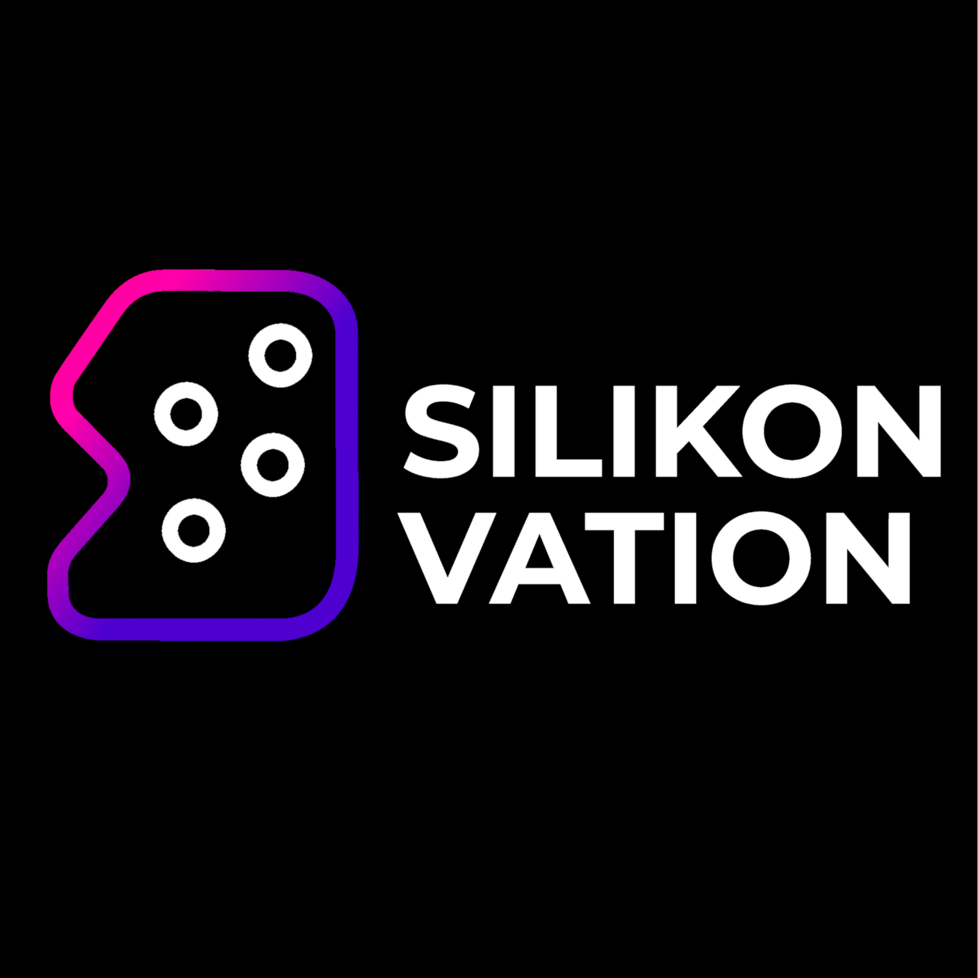 Logo Silikonvation
