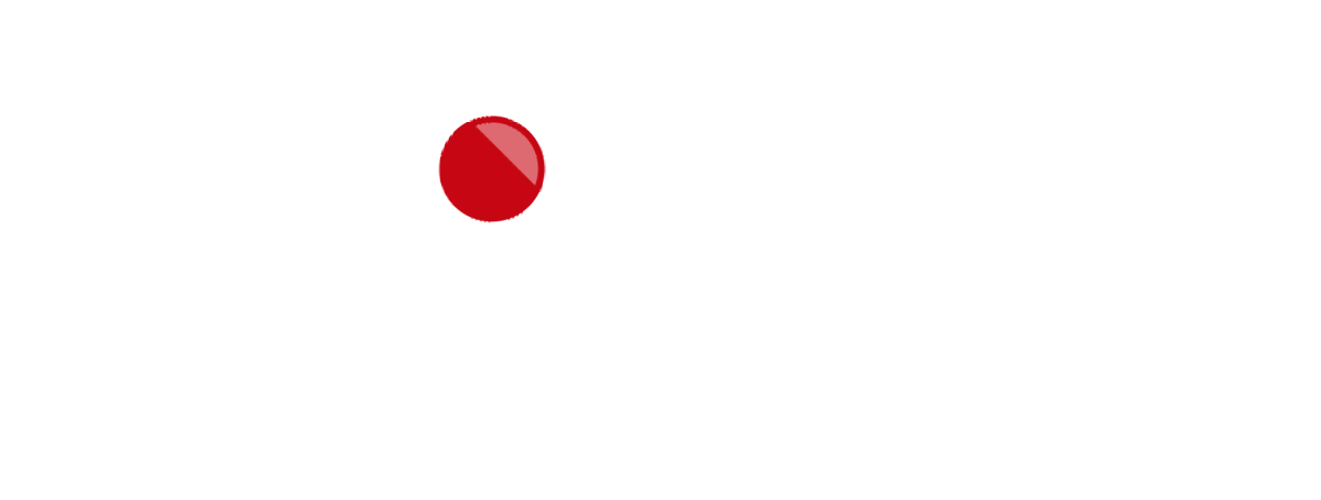 logo bionic studio