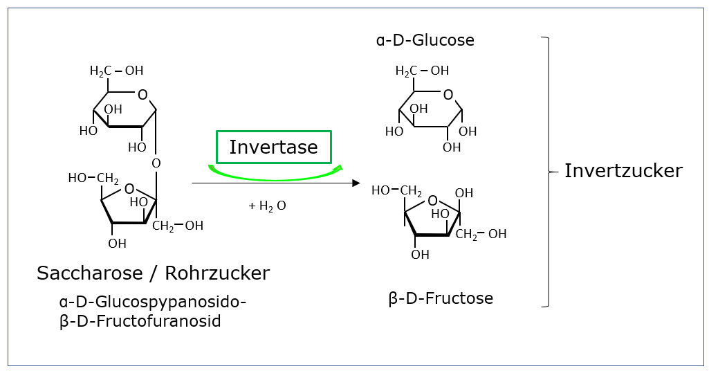 Invertase In Der Verarbeitung Von Susswaren Zusatzstoff 1103