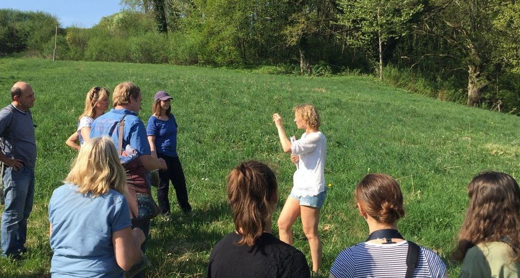 Wildkräuter-Führung