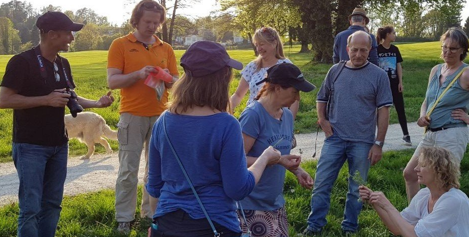 Wildkräuter-Führung