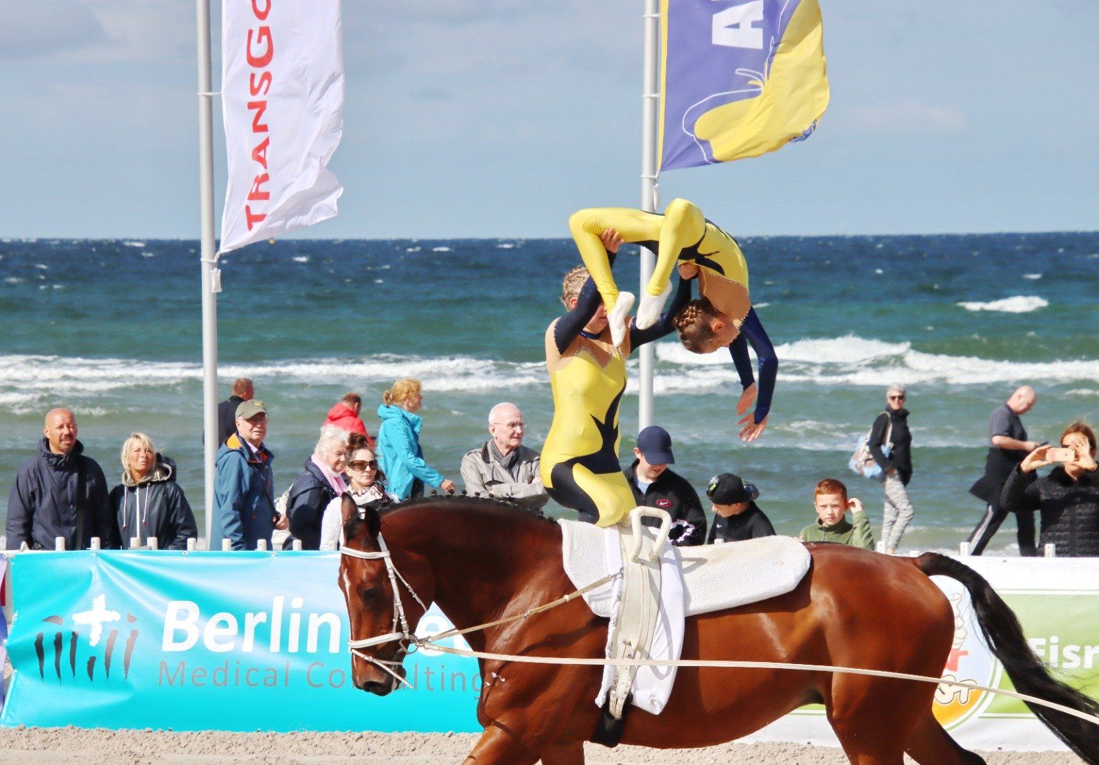 Pferd Cornet´s Creep und Voltigierer auf Polo Turnier in Warnemünde