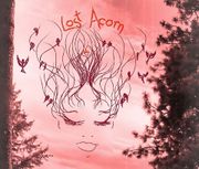 Lost Acorn. All-Girl Band, Indie Music, Rock Opera, Music by Amy Jo Claffey