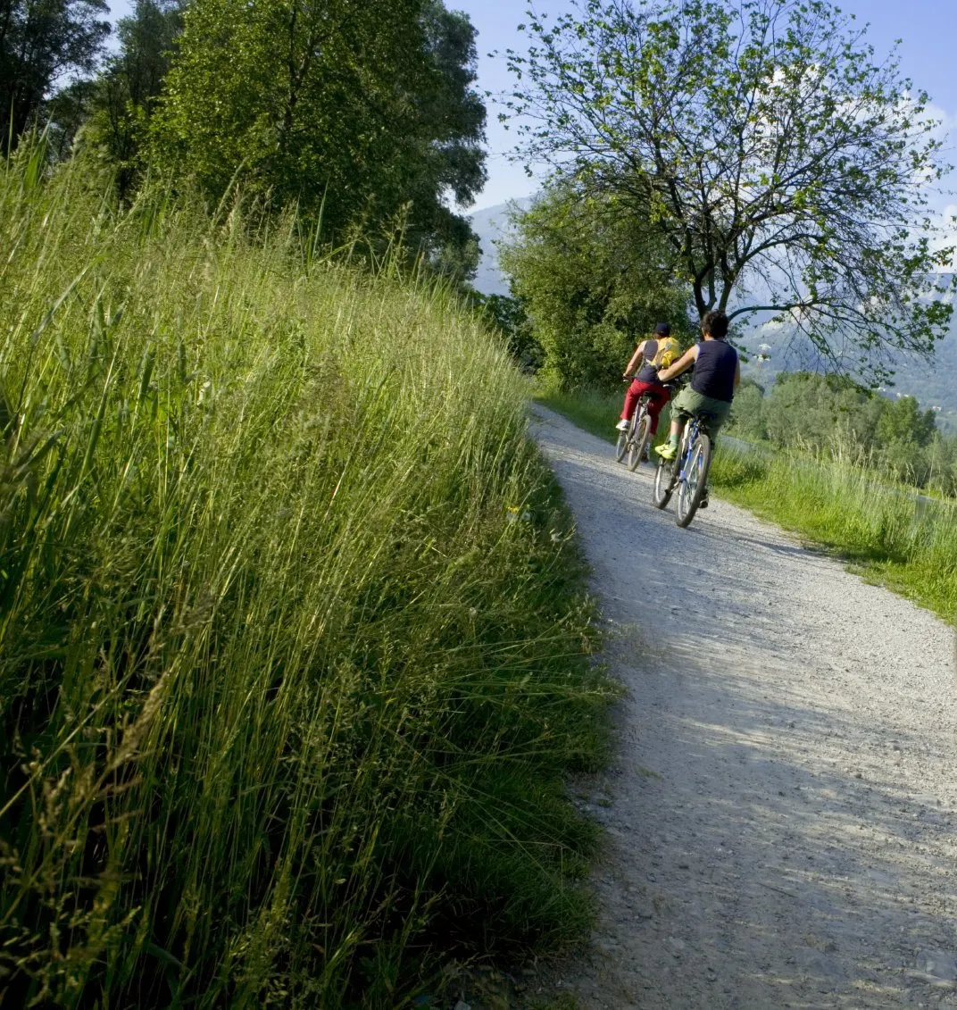 Radeln, Wandern und aktiv in der Hallertau