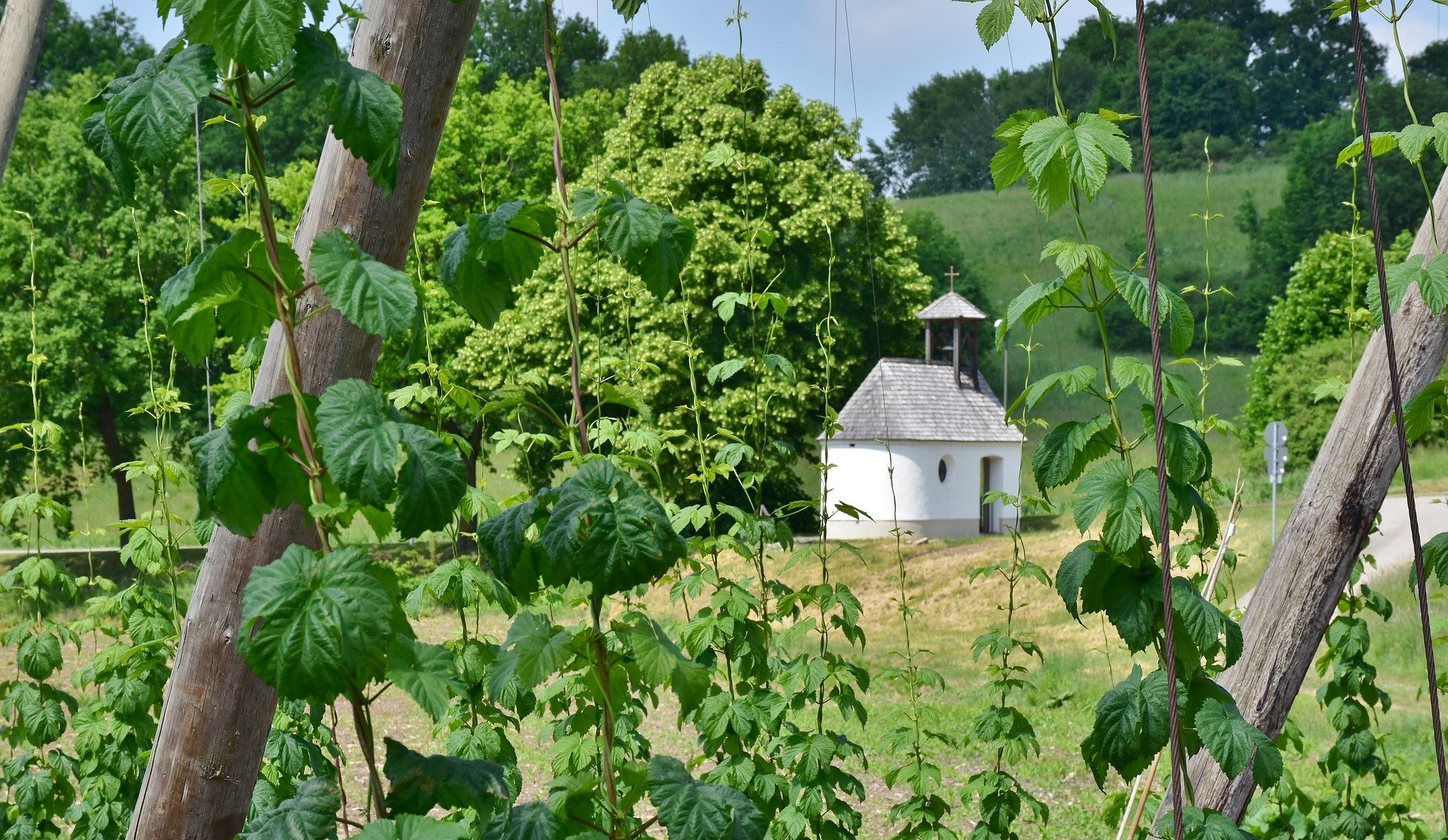 chapel near a hops garden