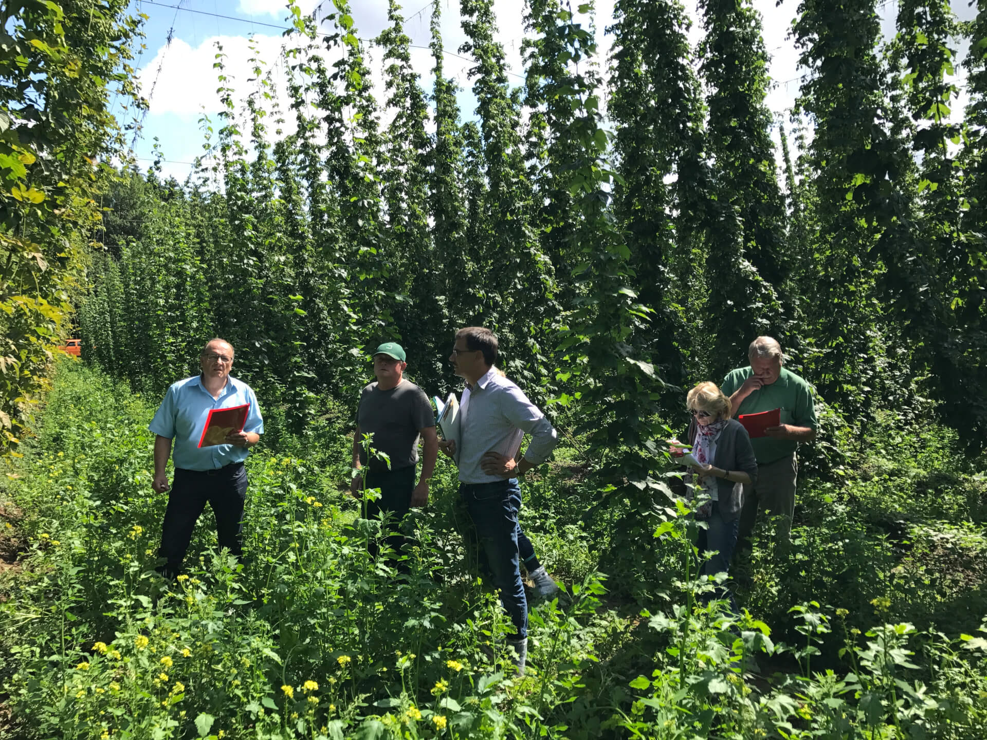 hop experts in the field