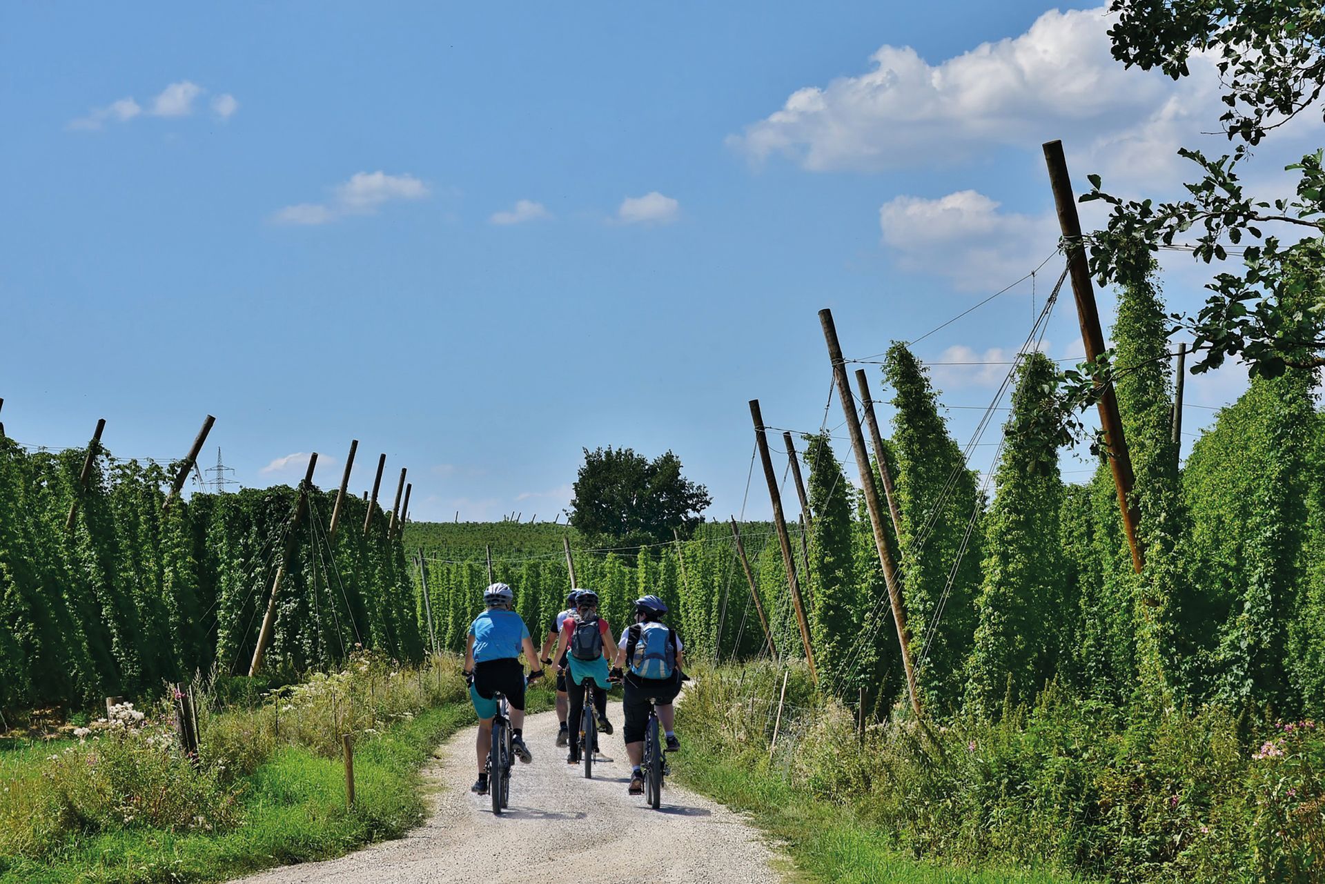 Radreise Hallertau Gruppenreise