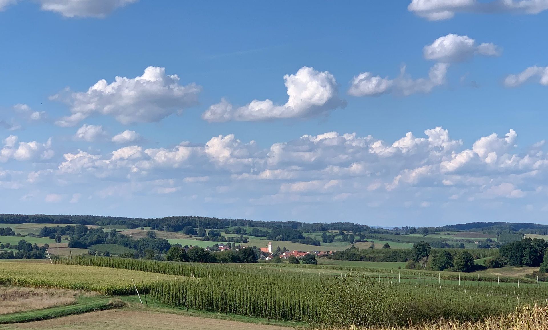 Hallertauer Hügellandschaft