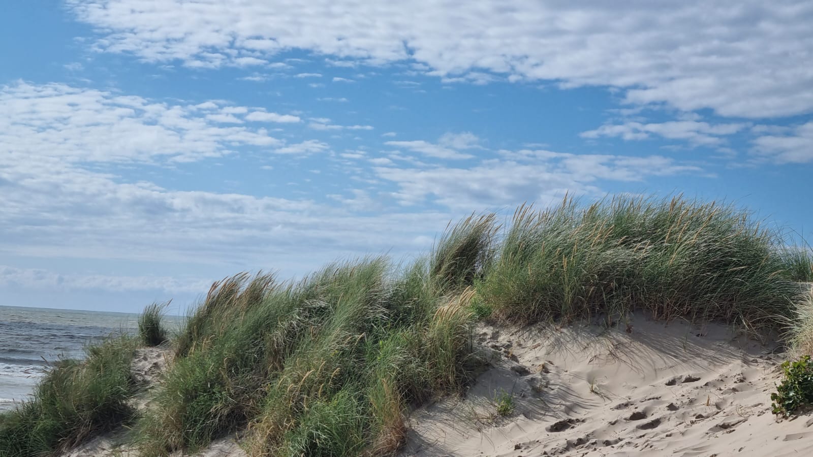 Dünen am Strand