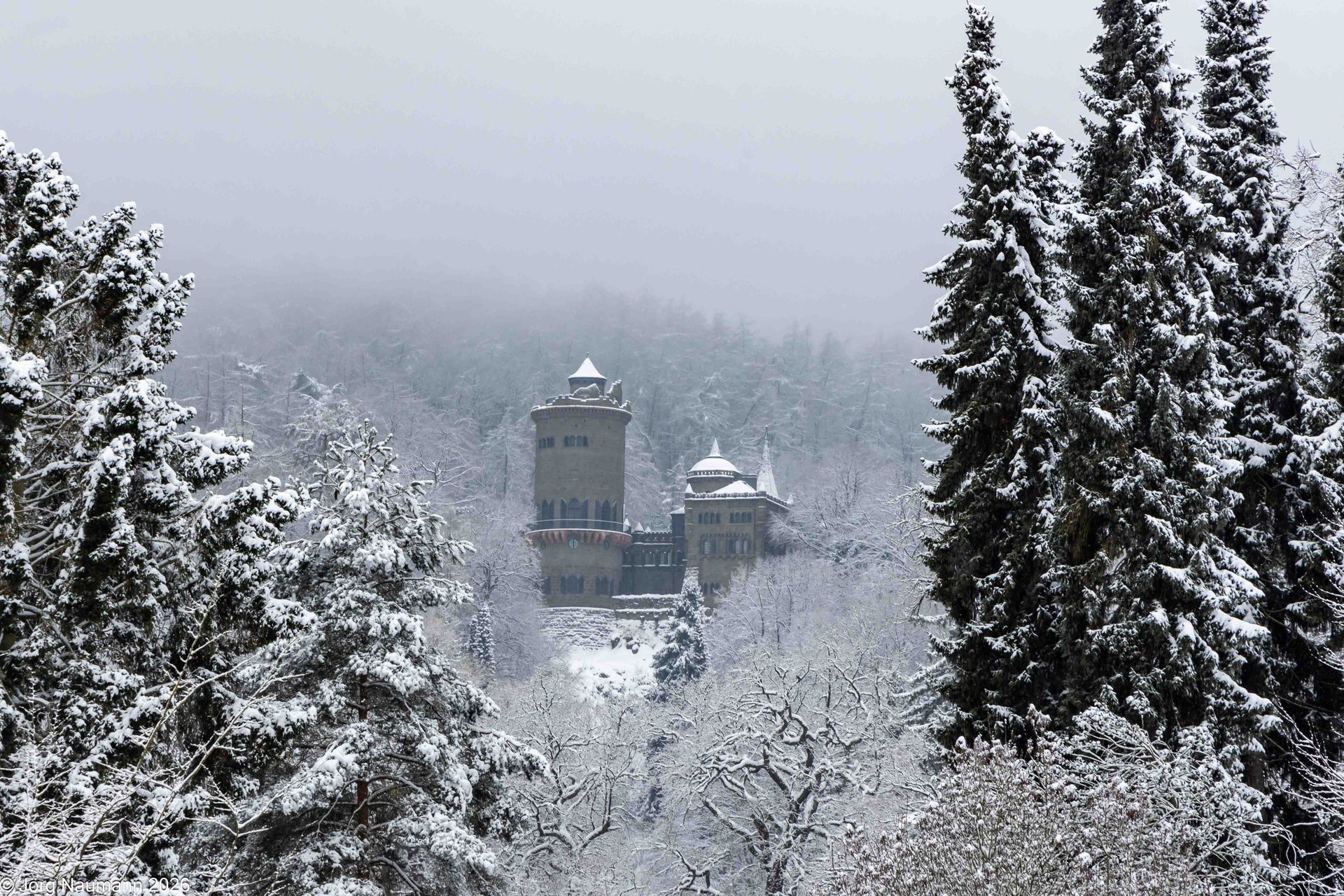 Löwenburg im Nebel