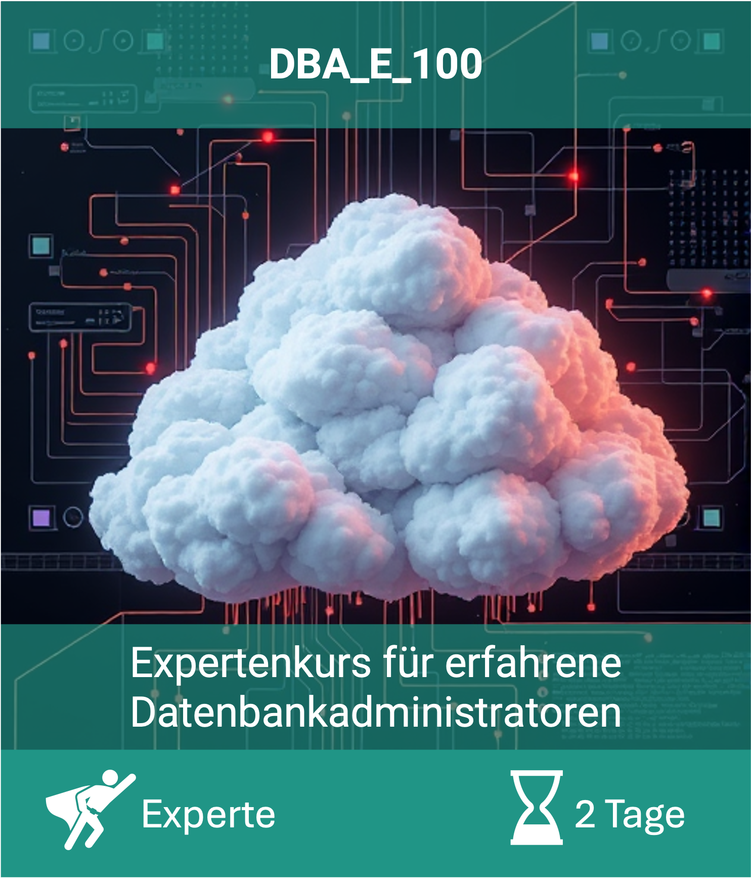 Expertenkurs für erfahrene Datenbankadministratoren