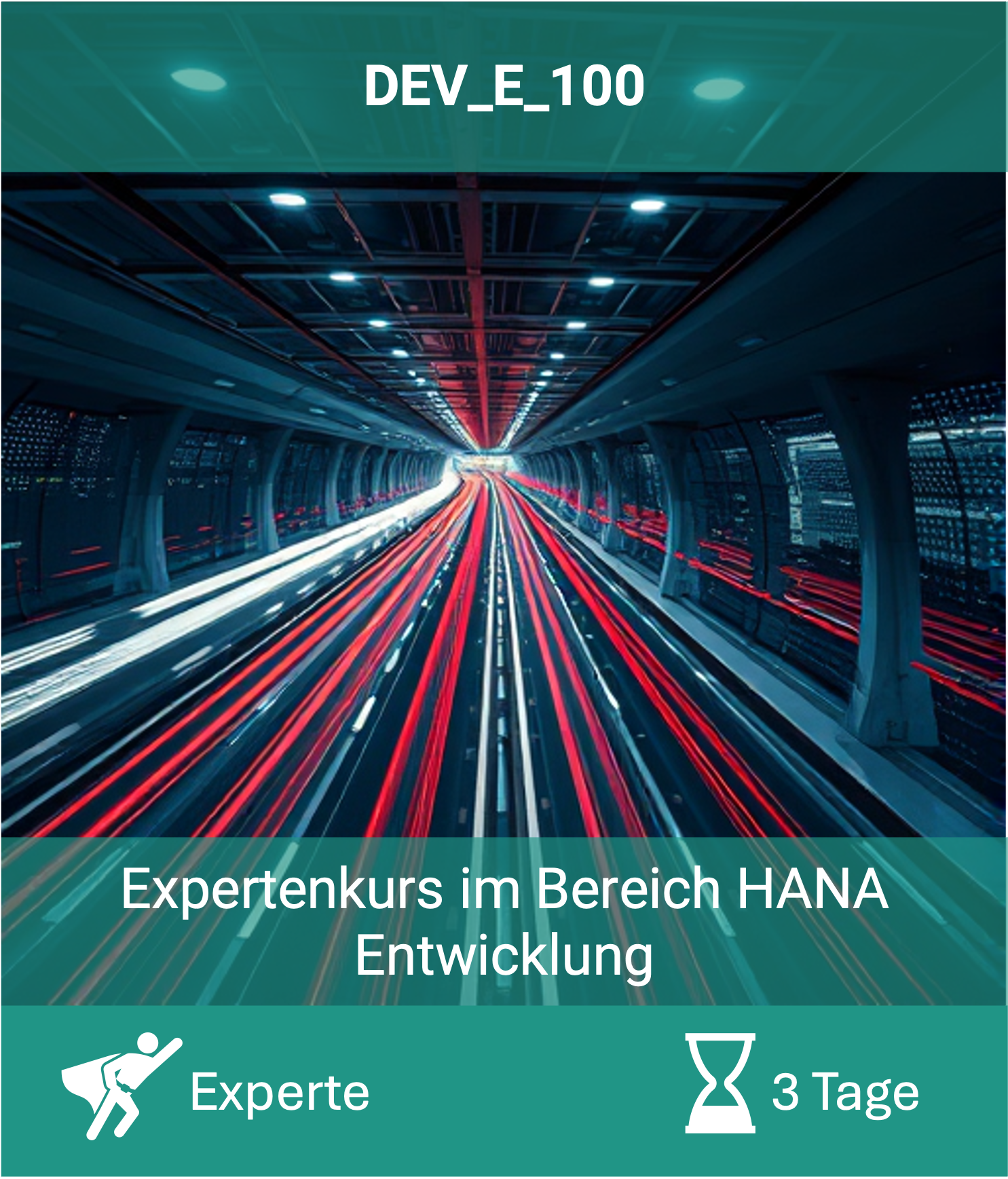 Schulung: Expertenkurs im Bereich HANA Entwicklung