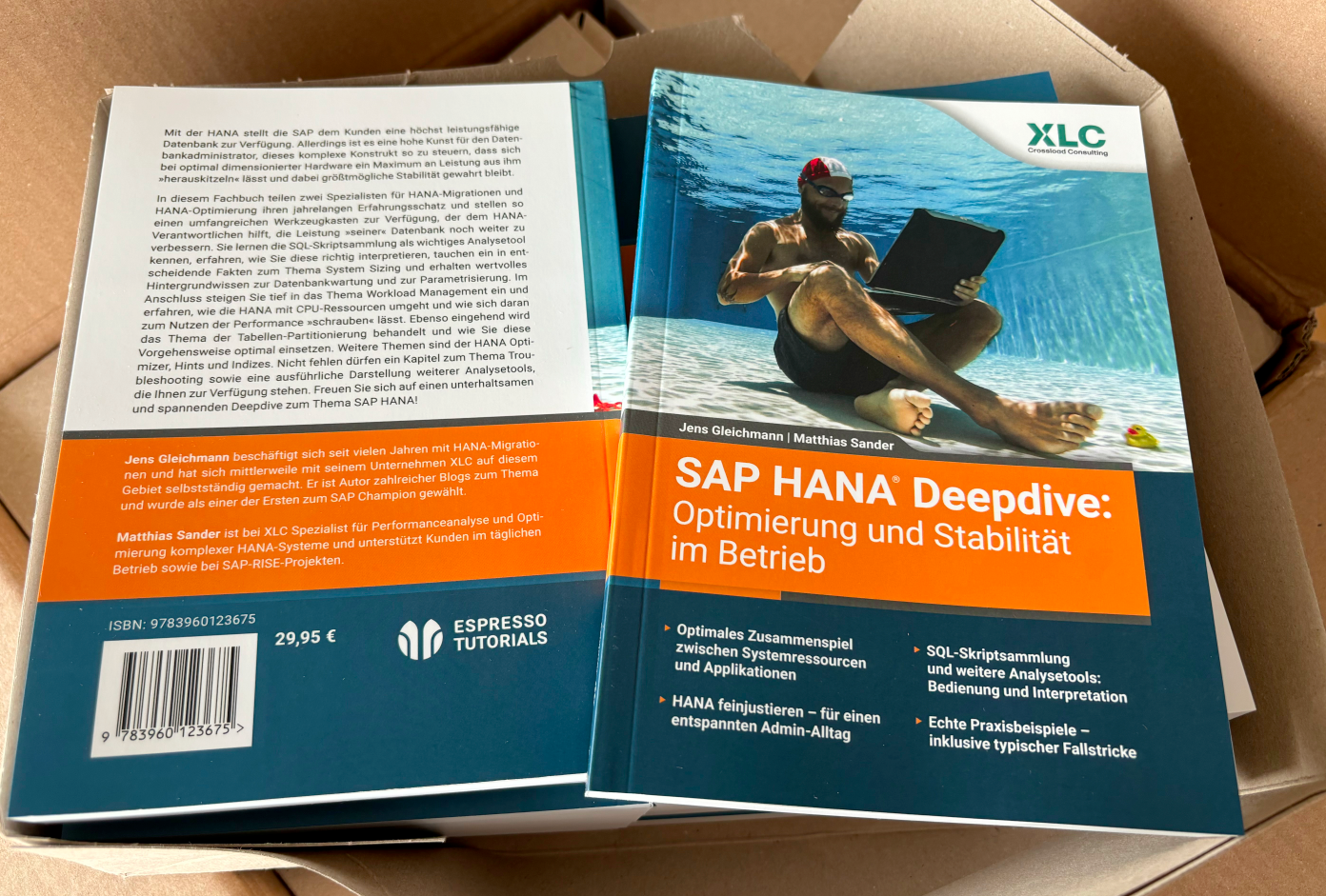 SAP HANA Deepdive: Optimierung und Stabilität im Betrieb