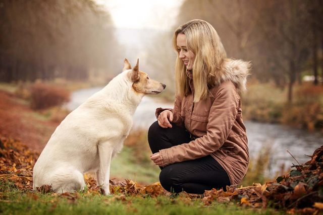 5 Beschaftigungsideen Fur Hund Und Mensch Im Herbst