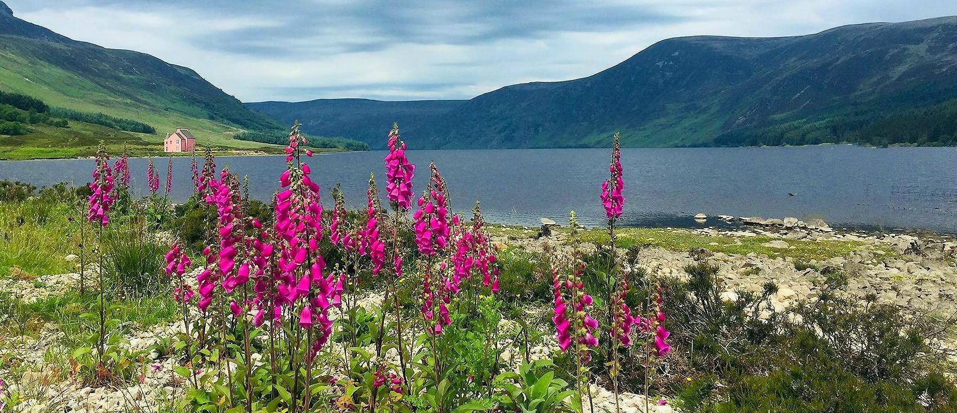 The Evanton Community Browser and Information Guide