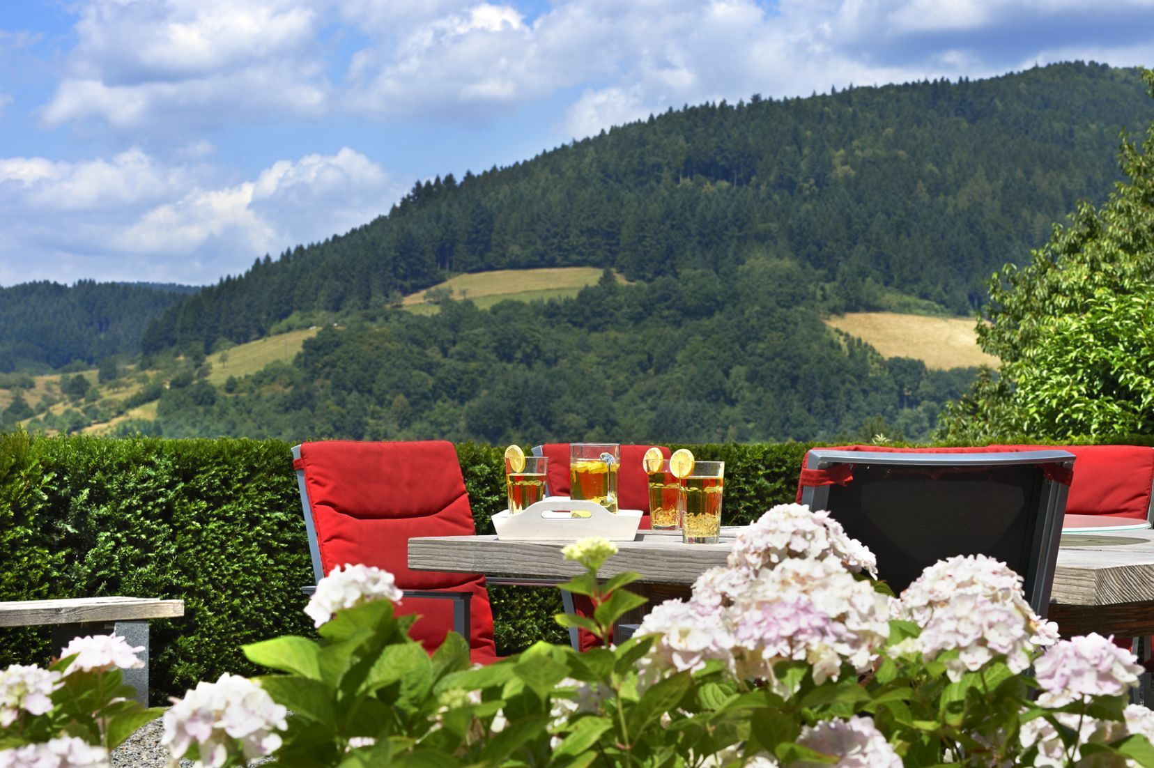 Wassergarten mit Fernsicht