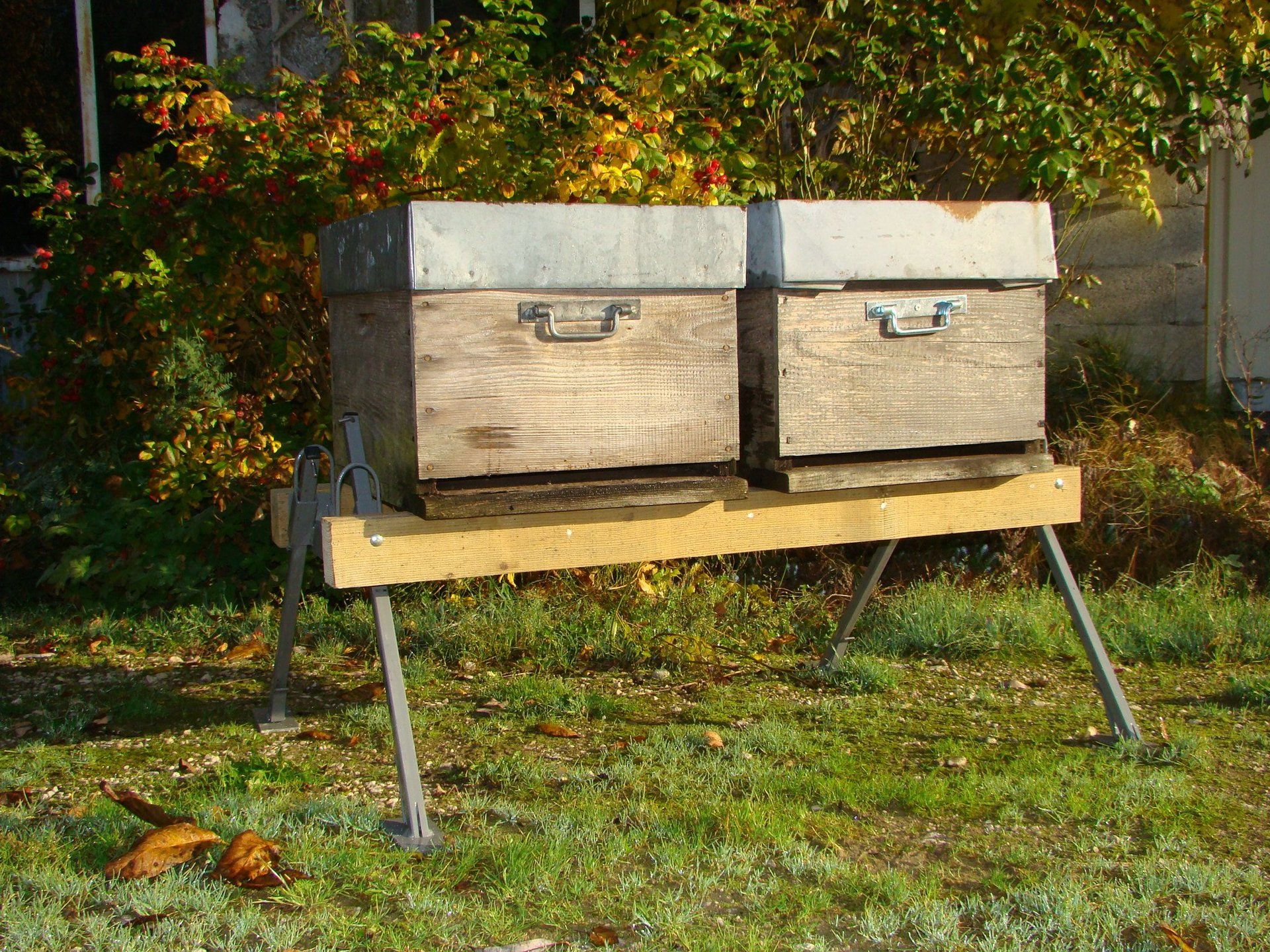 Hôtel à Insectes En Bois • Pour Abeilles Solitaires • Plateaux Amovibles • Protection Biodiversité Jardin