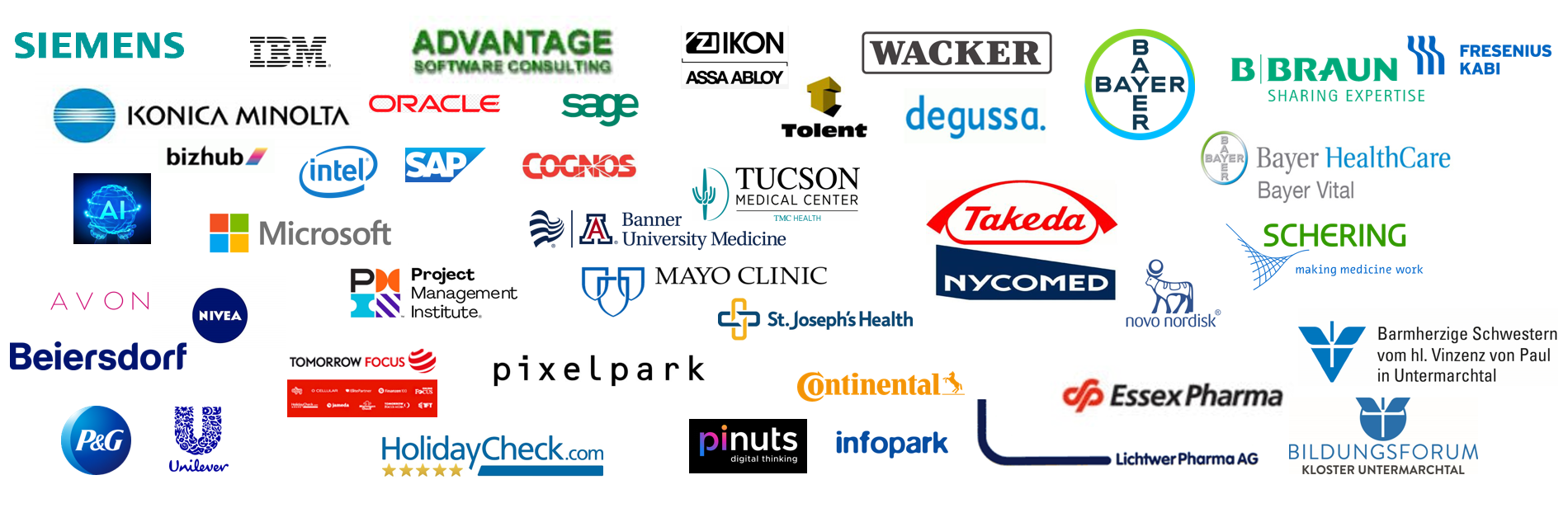 References: Siemens, IBM, Konica Minolta, Intel, SAP, Microsoft, PMI, CRM, ECMS, 