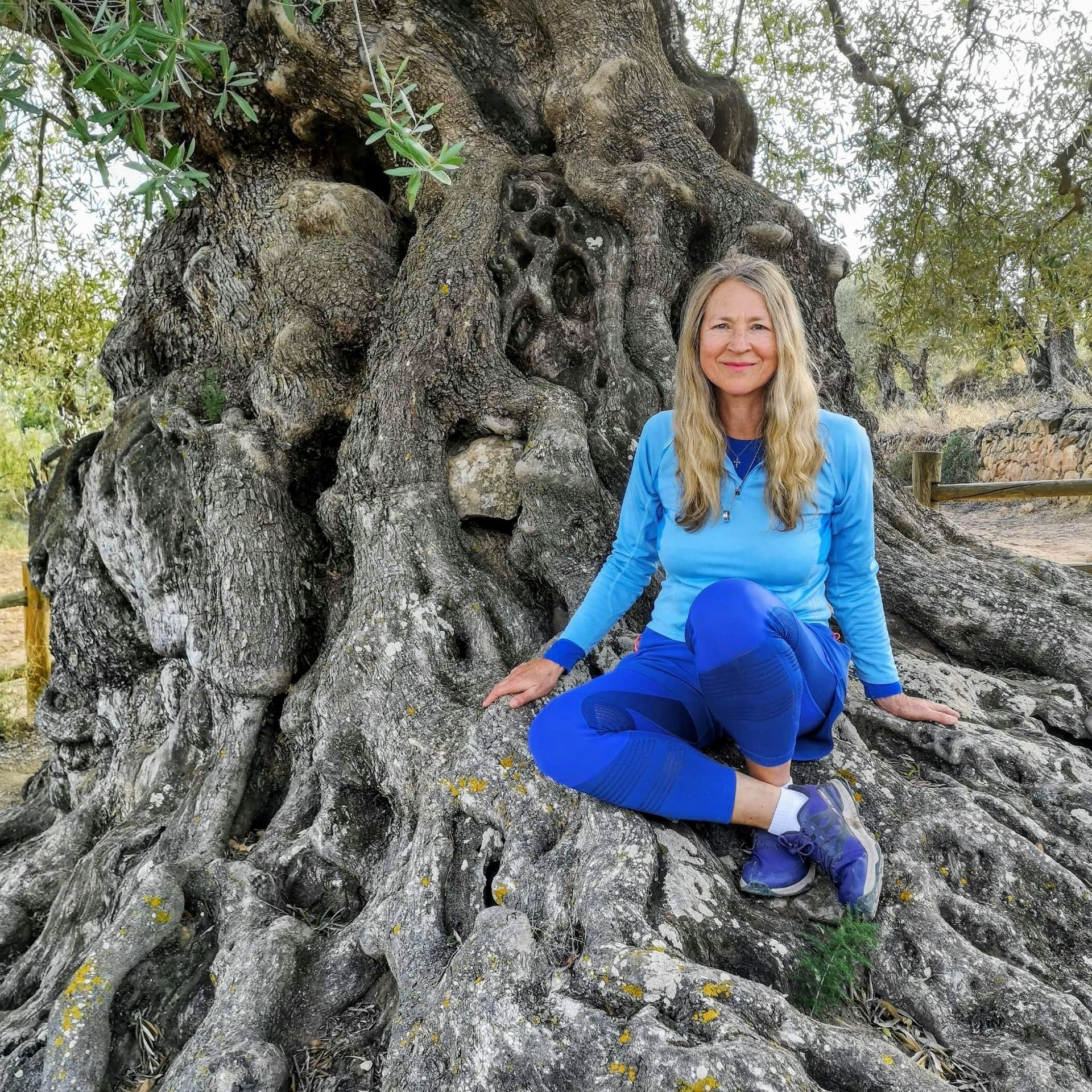 2000 Jahre alter Olivenbaum in Katalonien, davor sitzend Veronika Miller