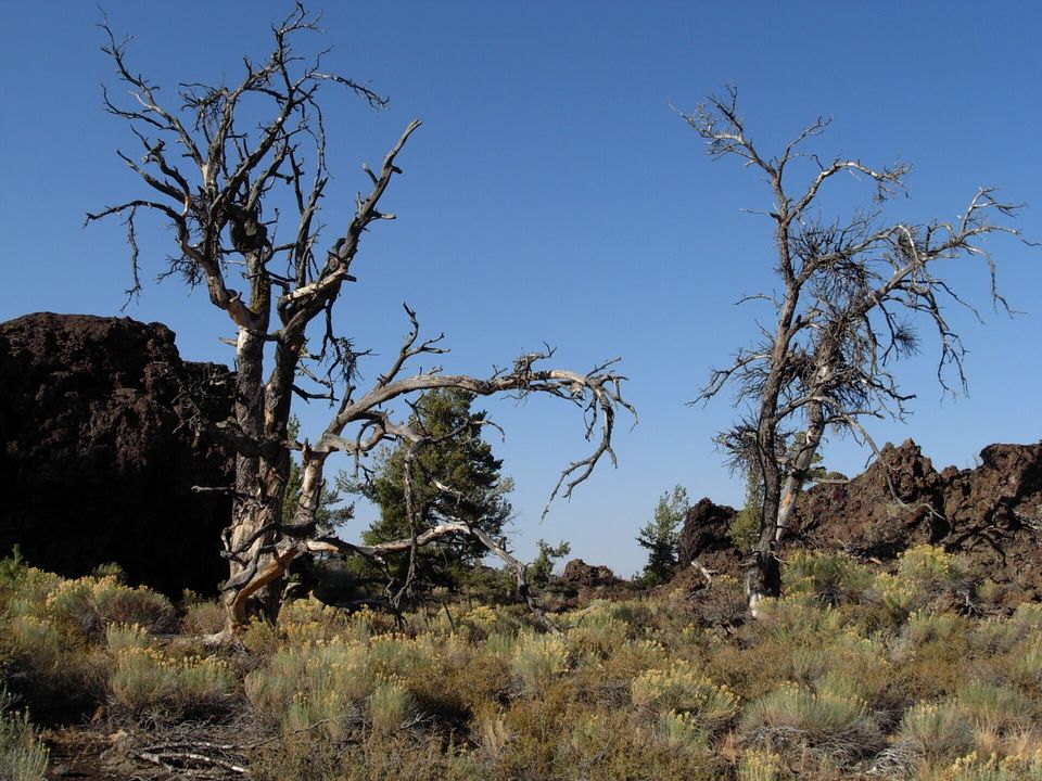 Craters of the Moon Hiking Trails - Devils Orchard Nature Trail