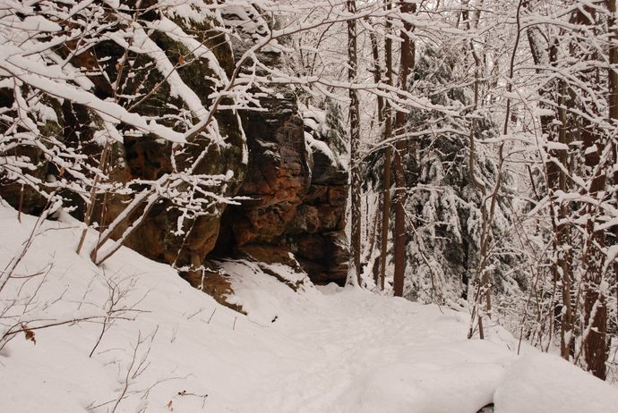 Cuyahoga Best Hikes - Ledges Trail