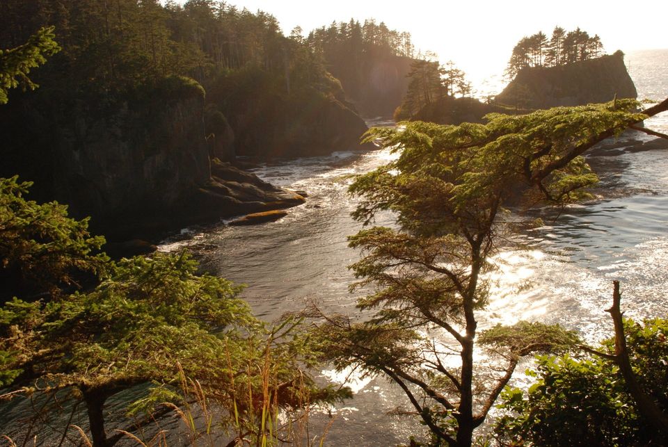 Cape Flattery Discover Explore Experience Enjoy - View South