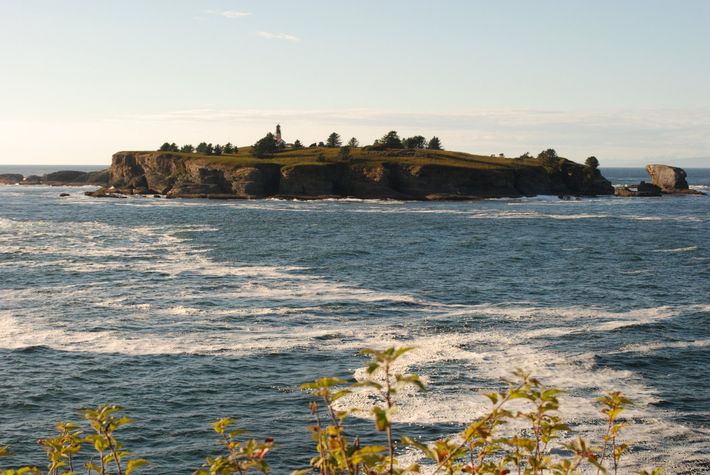 Cape Flattery Discover Explore Experience Enjoy - View West