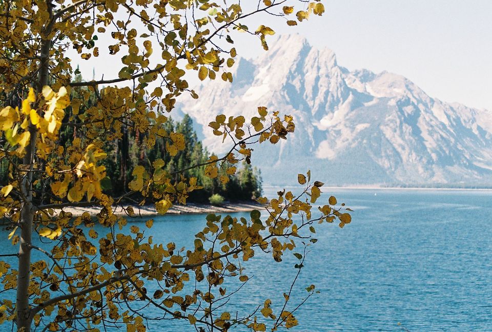 Grand Teton Trails - view from Lakeshore Trail