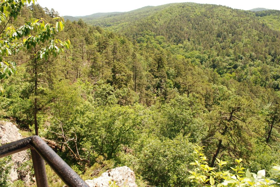 Hot Springs National Park Trails - View from Goat Rock