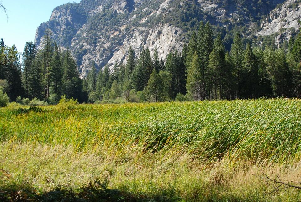 Kings Canyon Hiking - Zumwalt Meadow