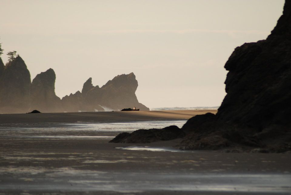 Olympic National Park Hikes