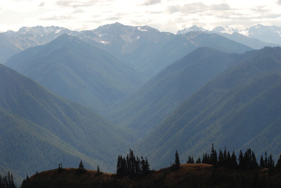 Olympic National Park Hikes