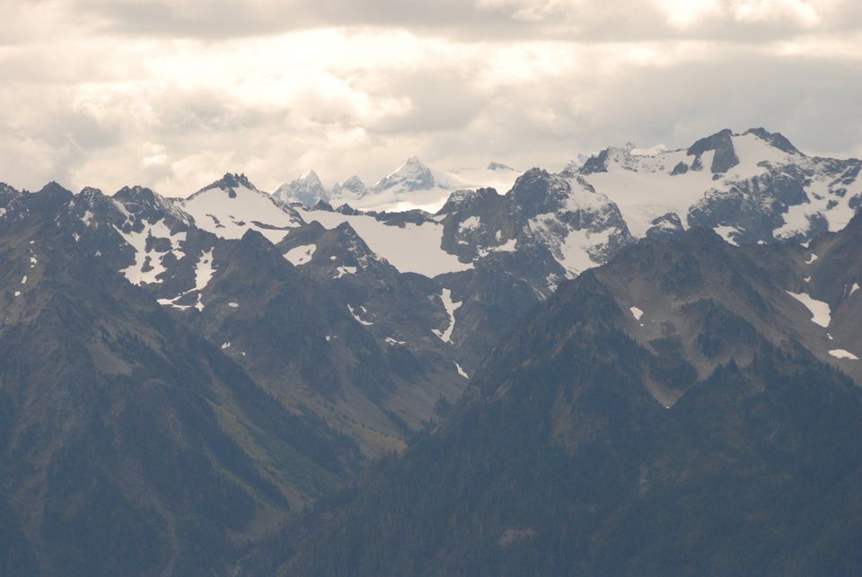 Olympic National Park Hikes - Hurricane Hill