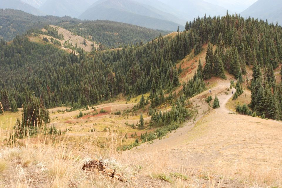 Olympic National Park Hikes