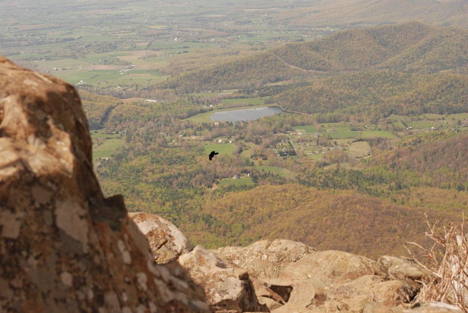 Shenandoah Hiking - Stonyman Summit