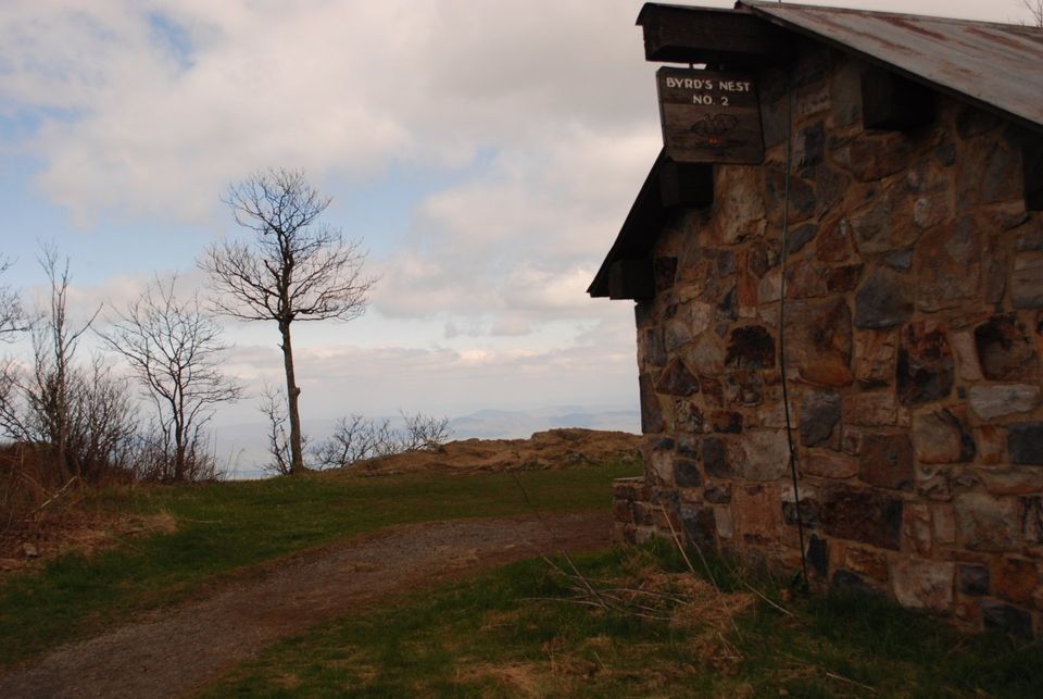 Shenandoah Hiking - The Summit of Hawksbill Mountain