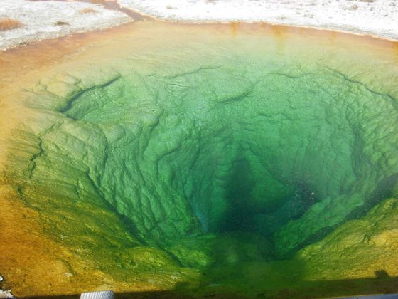 Yellowstone Adventures - Morning Glory Pool